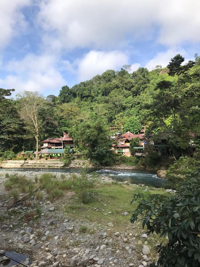 Hotel Thomas' Retreat Bukit Lawang Esterno foto