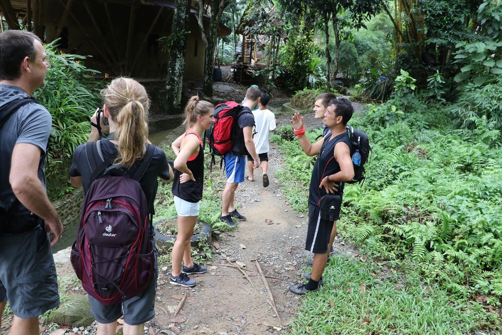 Hotel Thomas' Retreat Bukit Lawang Esterno foto