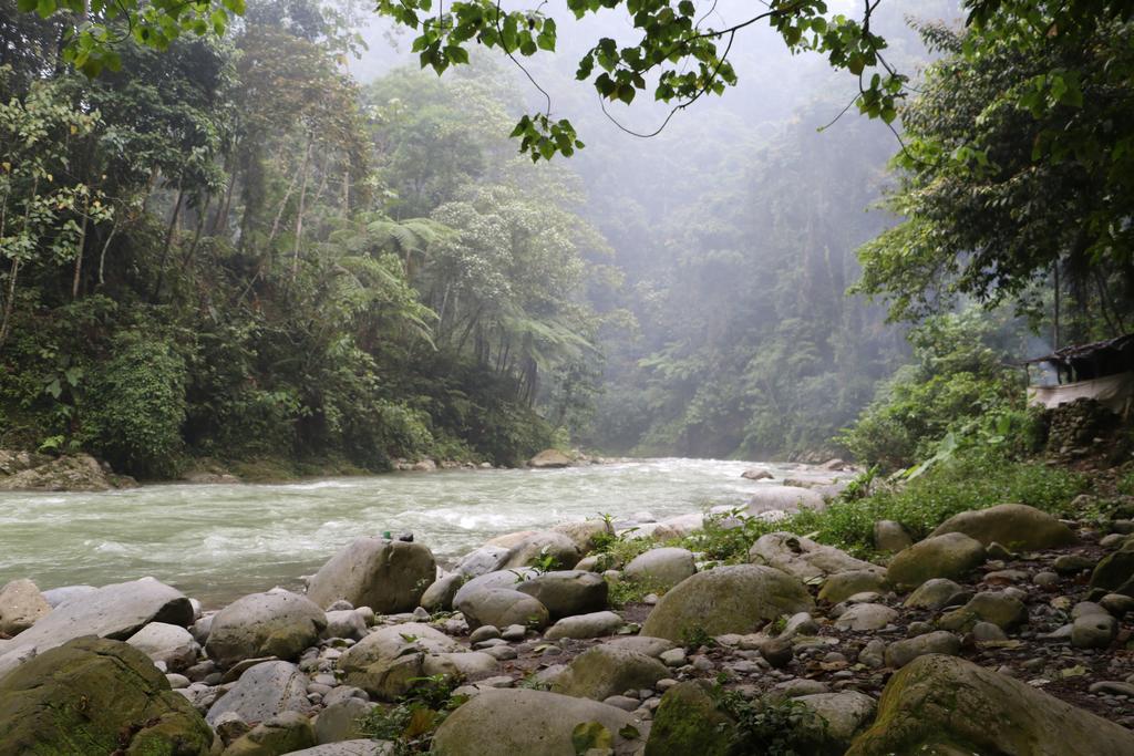 Hotel Thomas' Retreat Bukit Lawang Esterno foto