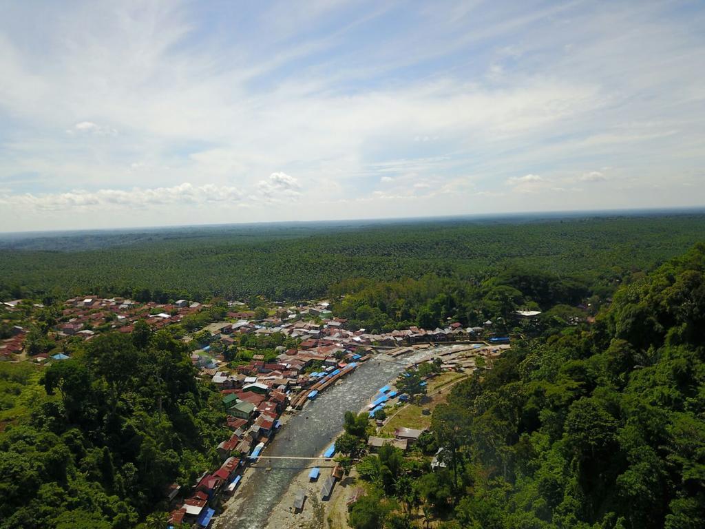 Hotel Thomas' Retreat Bukit Lawang Esterno foto
